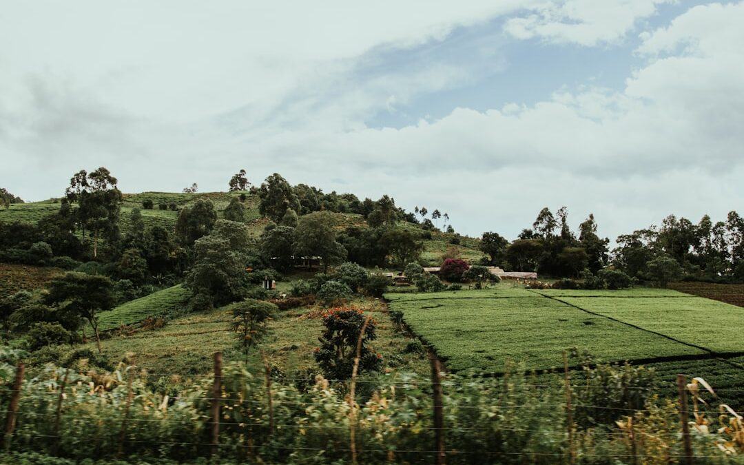 tourism licensing Kenya TRA tour operator hotel