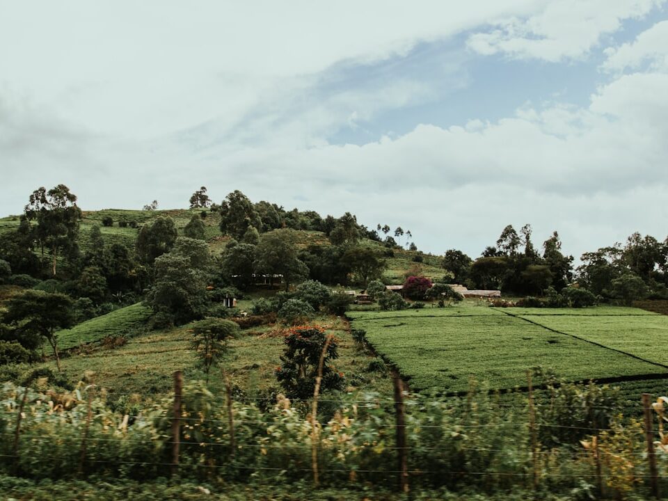 tourism licensing Kenya TRA tour operator hotel