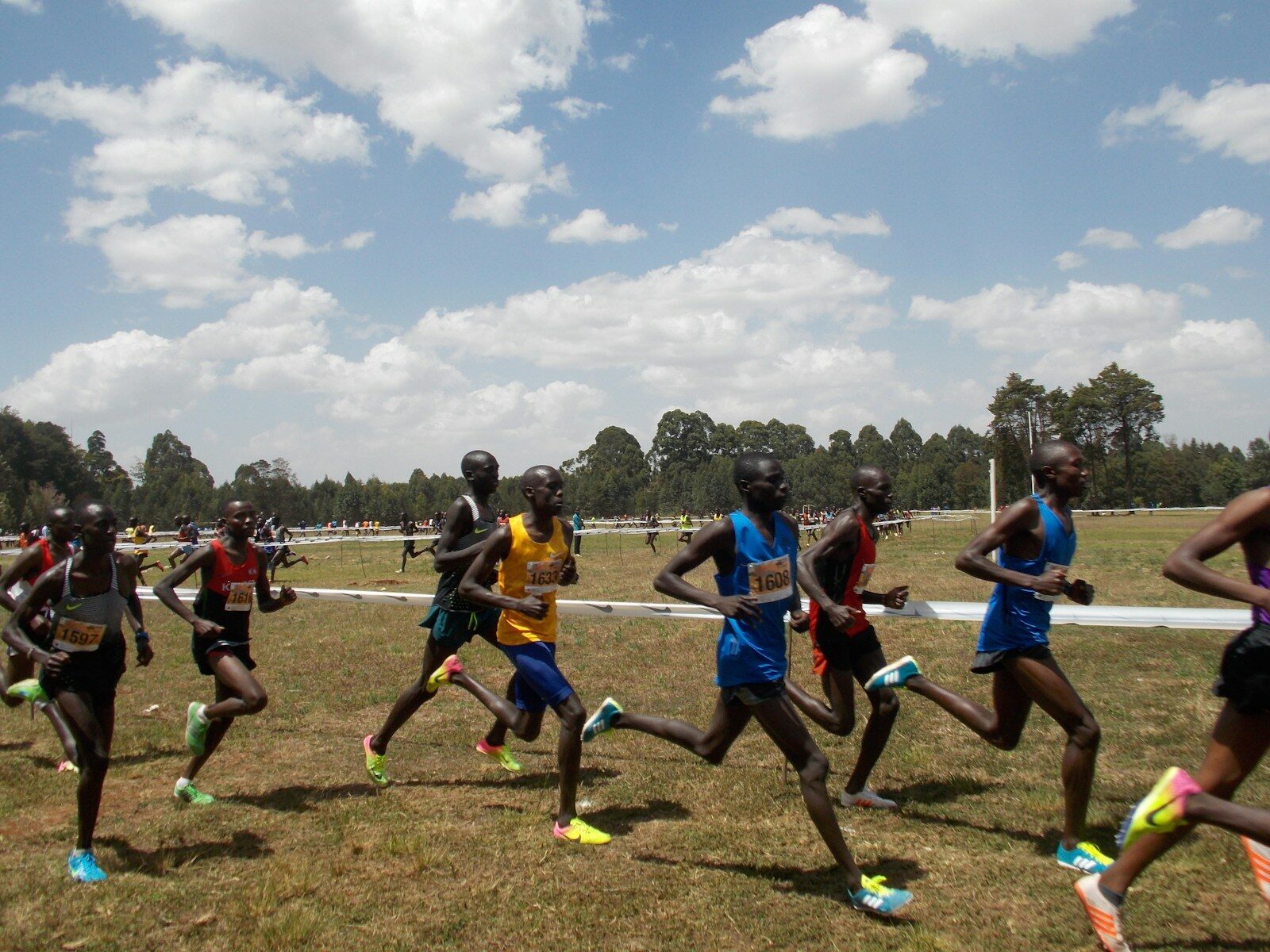 Kenyan athletes racing, representing the sports persons covered by the Sports Bill 2026 Kenya has proposed