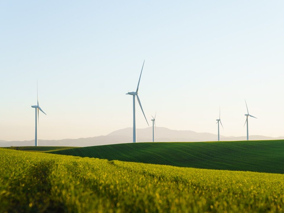 Wind turbines representing ESG and green finance compliance in Kenya