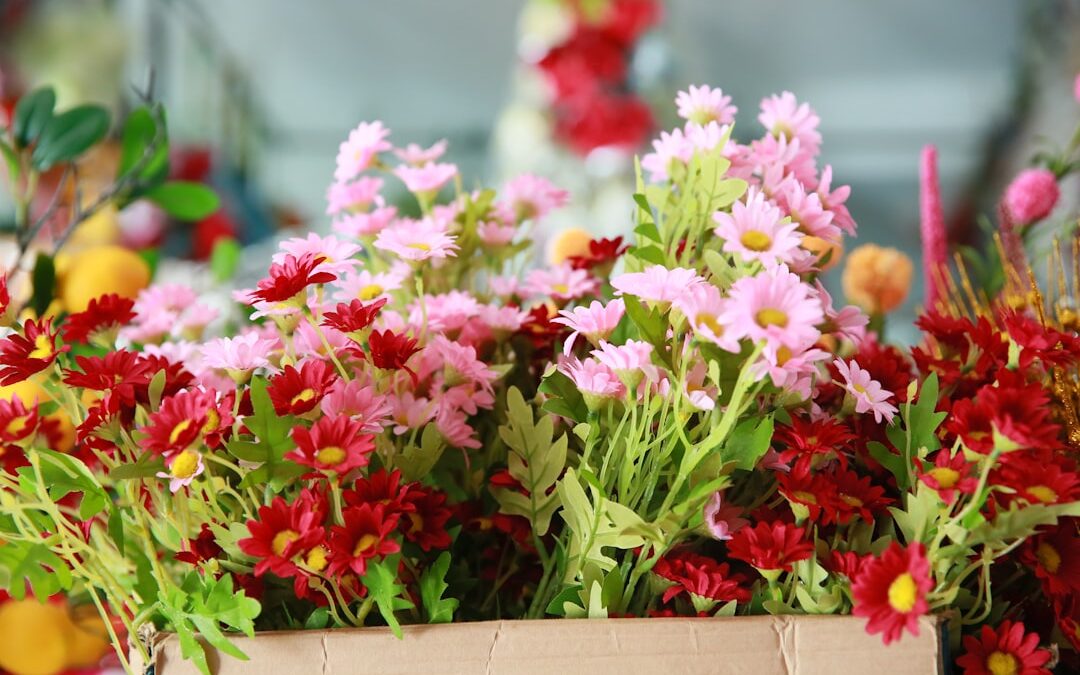 horticultural export licensing Kenya HCD KEPHIS phytosanitary