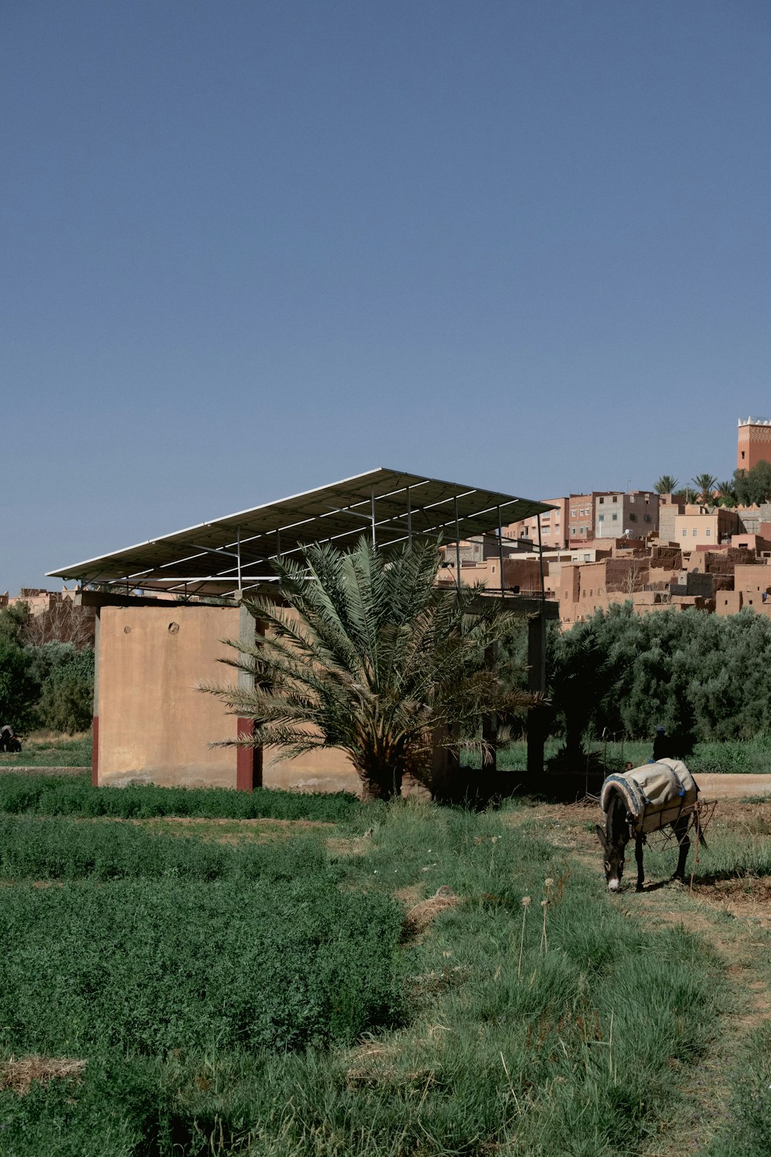 Solar panels representing impact investing in mission-driven Kenyan enterprises