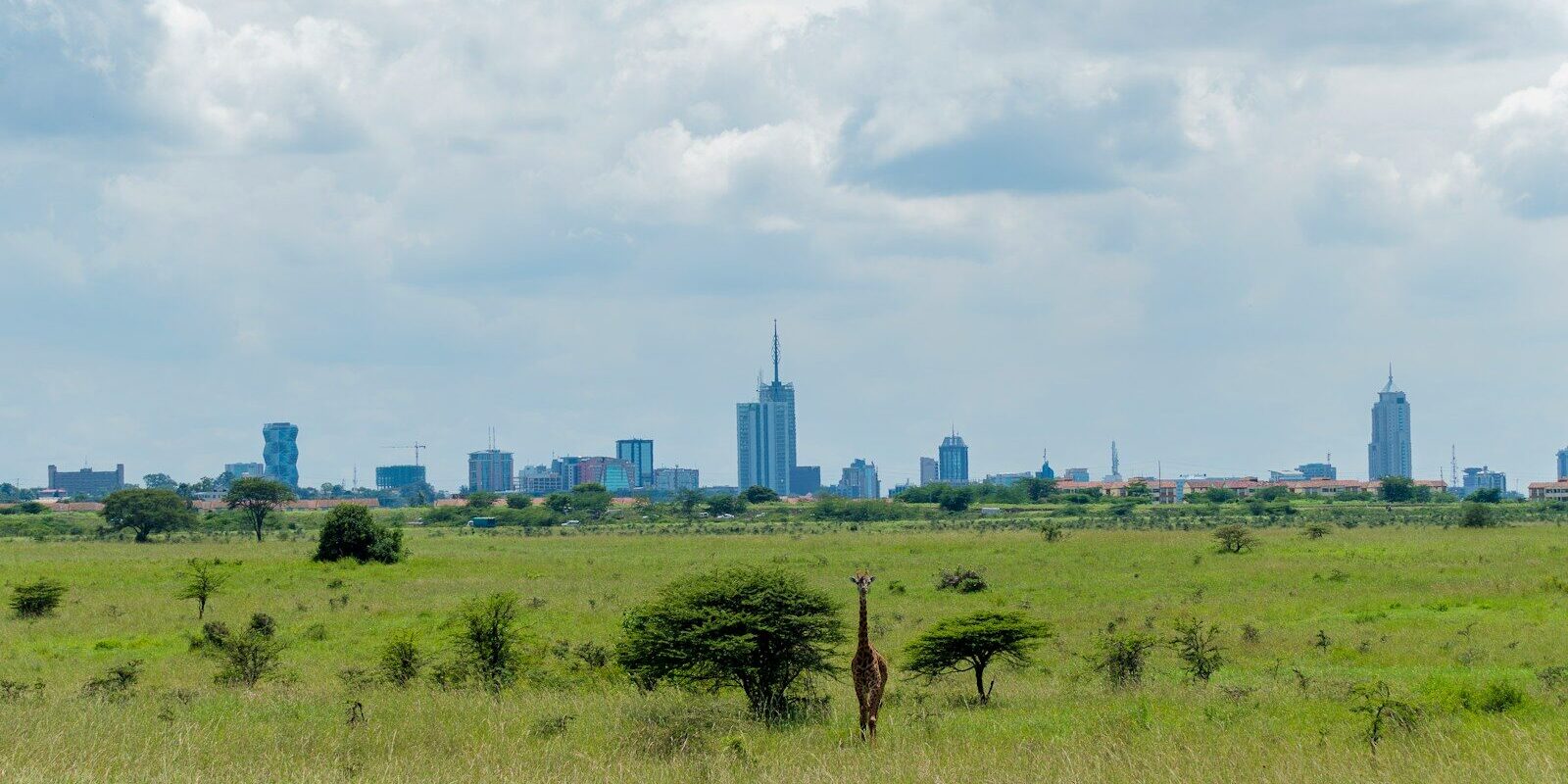 Open land on the edge of Nairobi, the kind of undeveloped public land that becomes the subject of allocation disputes in Kenya