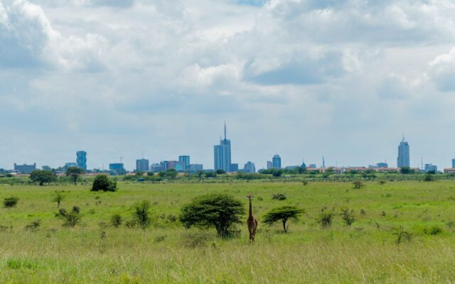 Open land on the edge of Nairobi, the kind of undeveloped public land that becomes the subject of allocation disputes in Kenya