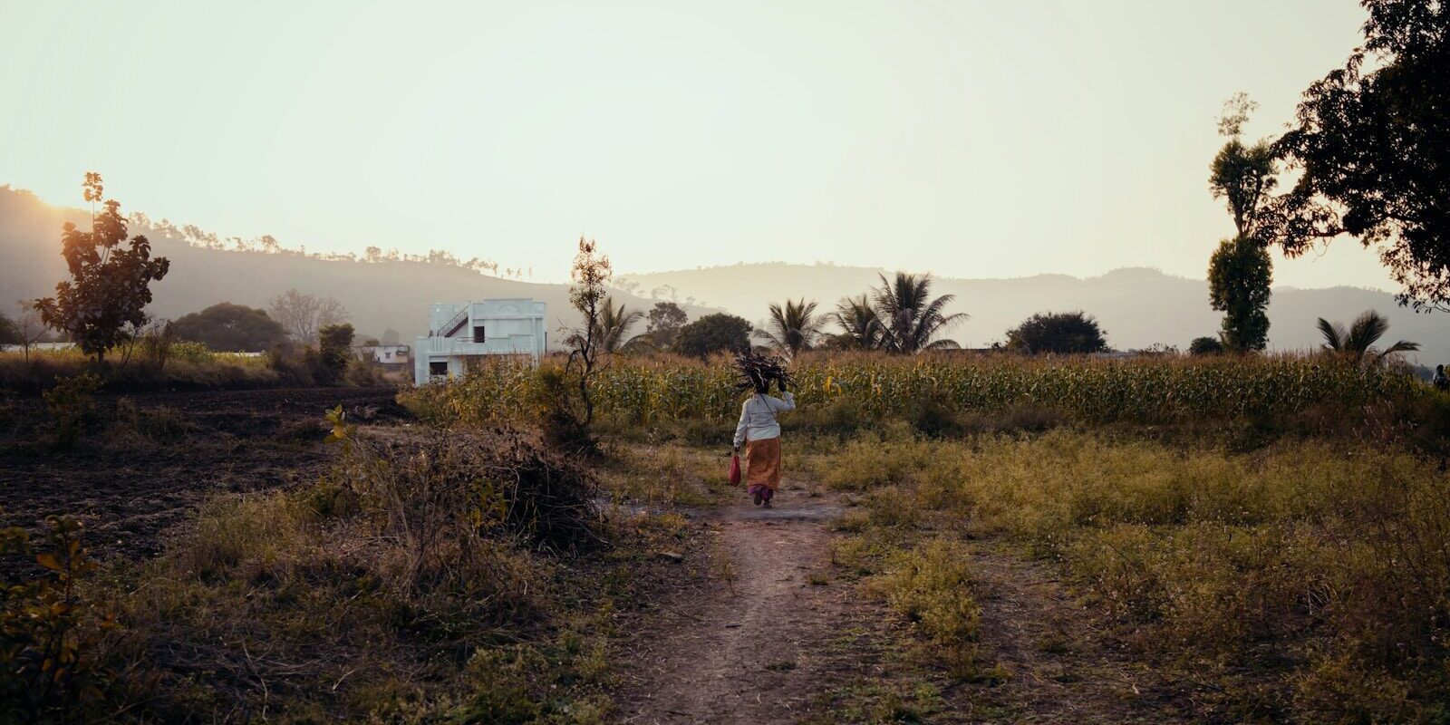 Easements and rights of way in Kenya: a person walking a footpath across rural farmland