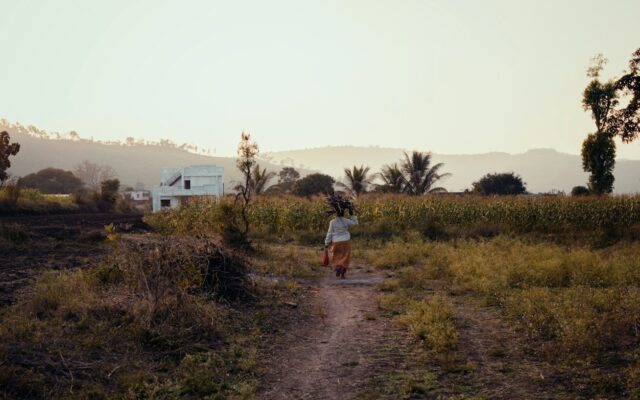 Easements and rights of way in Kenya: a person walking a footpath across rural farmland