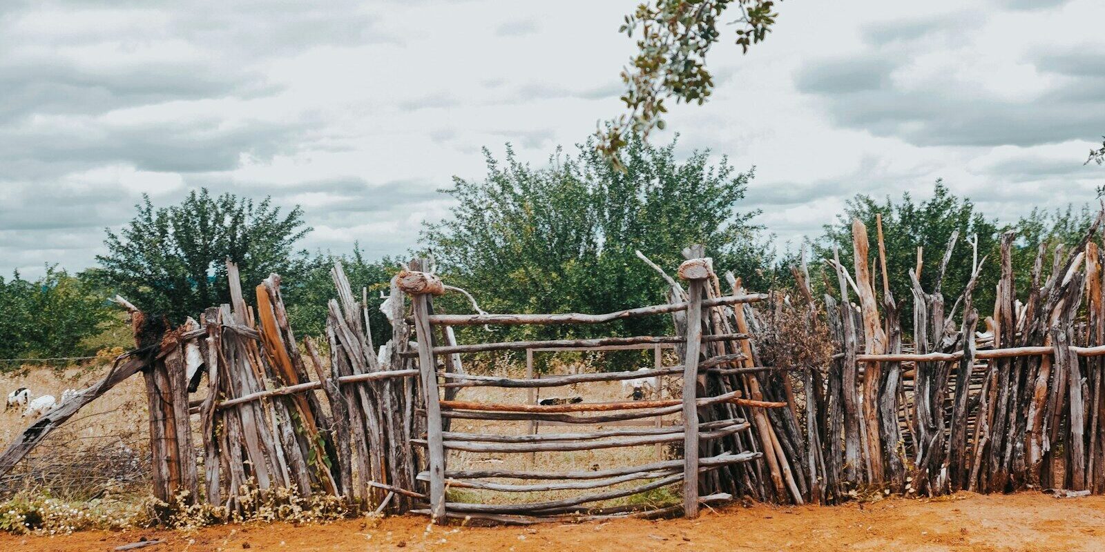 A fence marking a rural land boundary in Kenya, the kind of feature at the centre of many boundary disputes