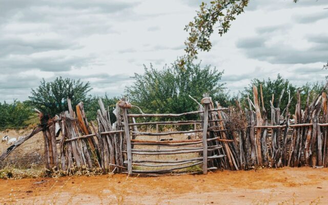 A fence marking a rural land boundary in Kenya, the kind of feature at the centre of many boundary disputes
