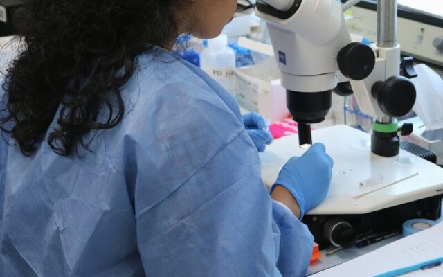 African laboratory researcher examining a sample under a microscope in a genetic testing facility
