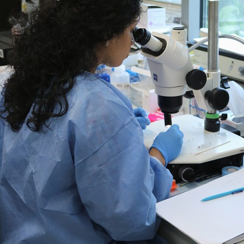African laboratory researcher examining a sample under a microscope in a genetic testing facility