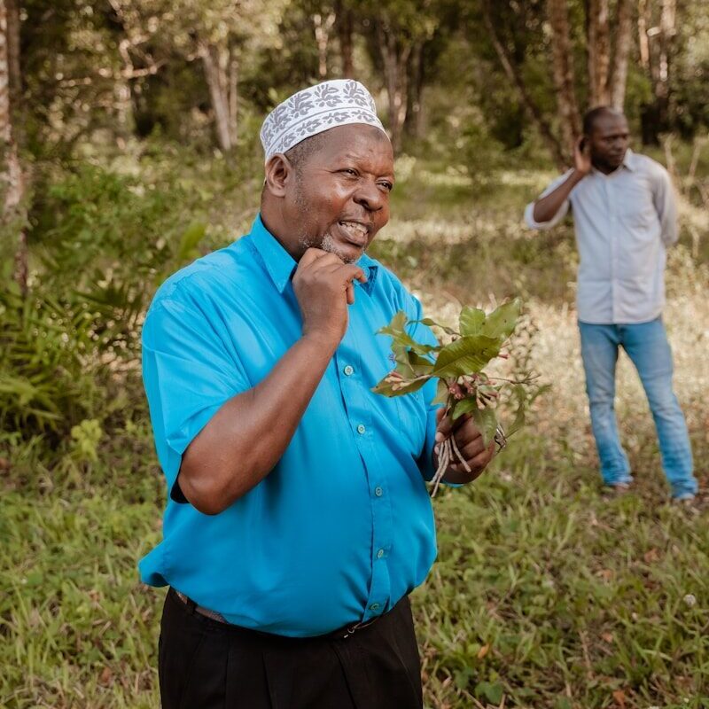 Man examining a medicinal plant in the field for traditional knowledge and bioprospecting